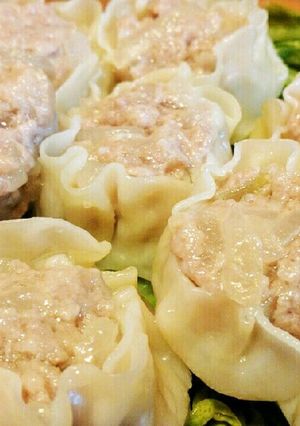 玉ねぎと豚肉の焼売-レシピのメイン写真