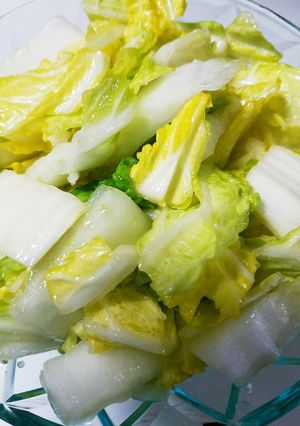 白菜のナムル風味-レシピのメイン写真