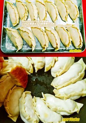 有り合せで胸やけしない餃子らしき物＾＾；-レシピのメイン写真