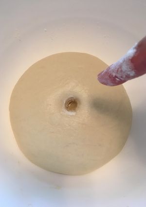 基本のパン生地〜簡単手ごね-レシピのメイン写真