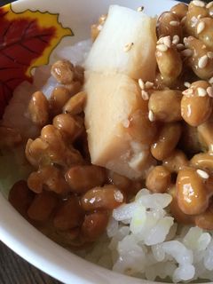 納豆と里芋の煮っ転がしのご飯-レシピのメイン写真