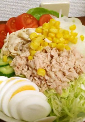 ごく普通のサラダ-レシピのメイン写真