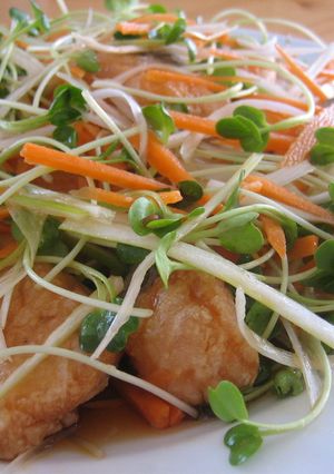 鮭とシャキシャキ野菜の南蛮漬け-レシピのメイン写真