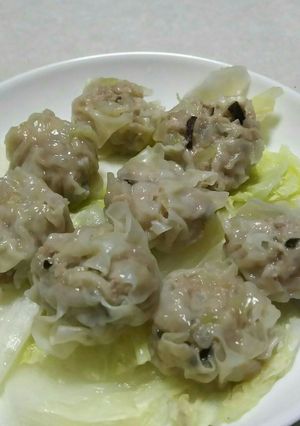 野菜たっぷり 和らぎ シュウマイ-レシピのメイン写真