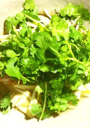 白身魚の中華蒸し(かさご)-レシピのメイン写真