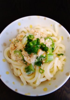 さっとさっぱり食べたいオクラうどん-レシピのメイン写真