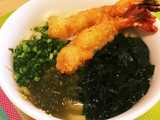 kake udon