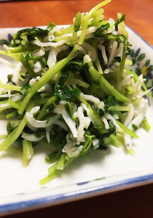 簡単！豆苗としらすのニンニク炒め-レシピのメイン写真