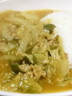 白菜と長ねぎの和風カレー♪-レシピのメイン写真