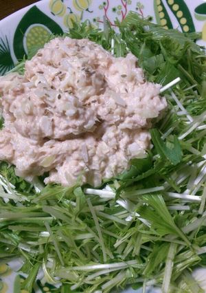 水菜とシーチキンのサラダ-レシピのメイン写真