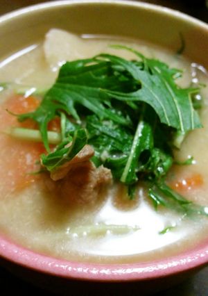酒粕味噌味のトン汁-レシピのメイン写真