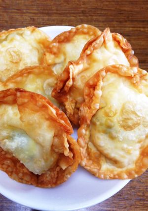 鶏肉とチーズの円盤揚げ-レシピのメイン写真