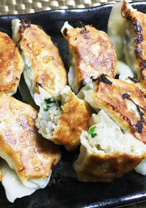 野菜たっぷりもやしの焼き餃子-レシピのメイン写真