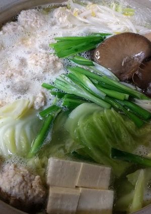 男の　ふわふわ 鶏団子鍋-レシピのメイン写真