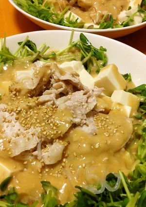 豚肉・白滝・豆腐の甘め坦々ドレサラダ-レシピのメイン写真