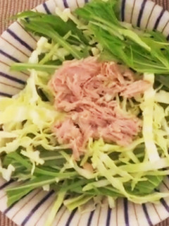 水菜とキャベツのサラダ-レシピのメイン写真