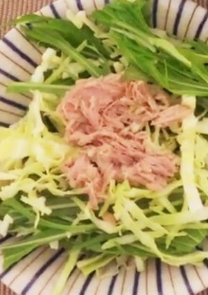 水菜とキャベツのサラダ-レシピのメイン写真