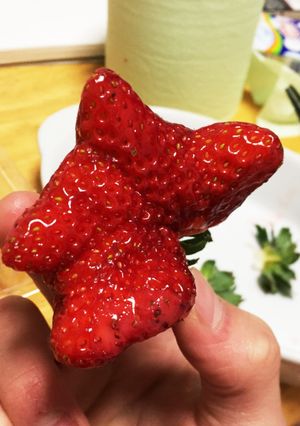 おいしいいちご-レシピのメイン写真