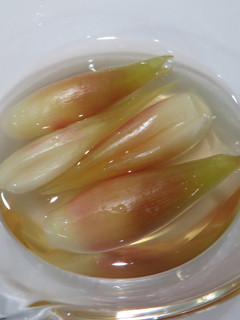 みょうがの甘酢漬-レシピのメイン写真