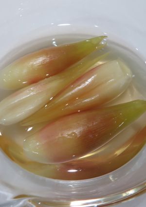 みょうがの甘酢漬-レシピのメイン写真