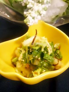 白菜のサラダ~✴-レシピのメイン写真