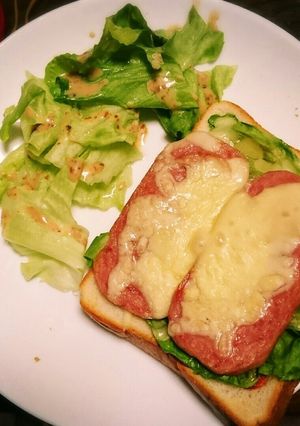 オーブントースターだけ！スパムトースト-レシピのメイン写真