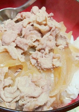 牛丼☆☆☆-レシピのメイン写真
