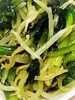 簡単鍋いらず!5分でもやし小松菜ナムル-レシピのメイン写真
