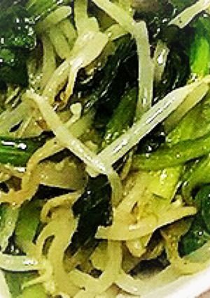簡単鍋いらず！5分でもやし小松菜ナムル-レシピのメイン写真