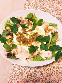 手作り豆腐と蒸し鶏の香味だれ-レシピのメイン写真