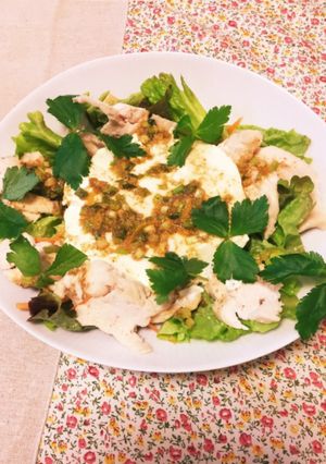 手作り豆腐と蒸し鶏の香味だれ-レシピのメイン写真