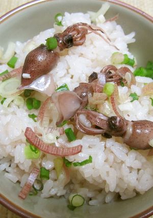 ホタルイカの炊き込みごはん-レシピのメイン写真
