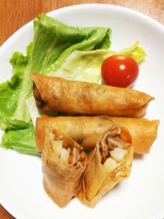 キャベツと豚肉の春巻き-レシピのメイン写真