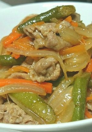 豚肉の中華風炒め物❁-レシピのメイン写真