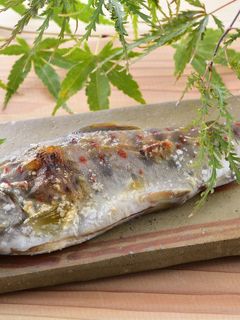 あめごの塩焼き-レシピのメイン写真