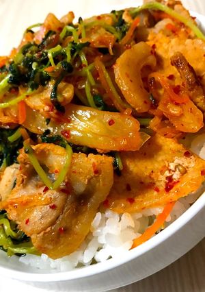 簡単栄養たっぷり！豚肉と豆苗のキムチ丼-レシピのメイン写真