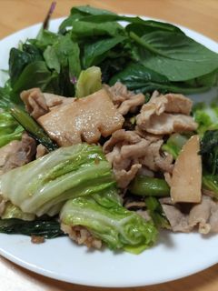 たけのこと豚肉の生姜炒め-レシピのメイン写真