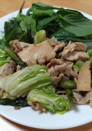 たけのこと豚肉の生姜炒め-レシピのメイン写真