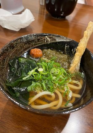うどん屋直伝　梅ごぼううどん-レシピのメイン写真