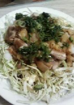 鶏肉のネギソースかけ♪-レシピのメイン写真