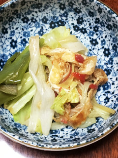 体にお口に優しい簡単ネギキャベツ和え-レシピのメイン写真