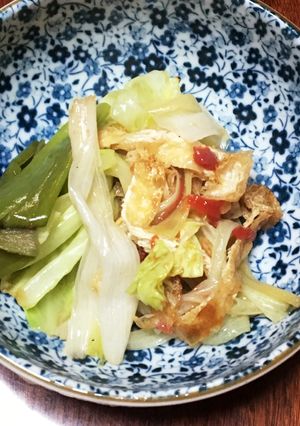 体にお口に優しい簡単ネギキャベツ和え-レシピのメイン写真