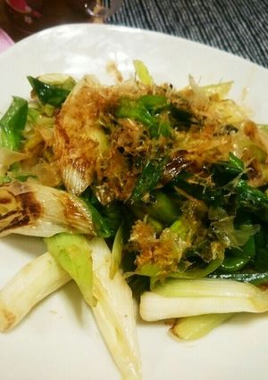 簡単！ヘルシー＊長ねぎの炒め物-レシピのメイン写真