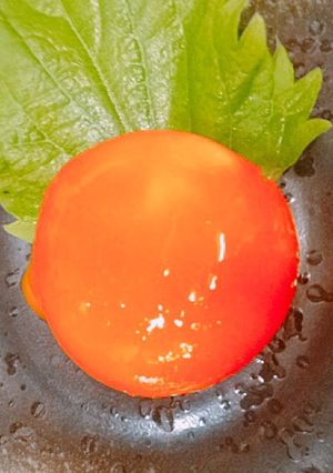 黄身の味噌漬け-レシピのメイン写真
