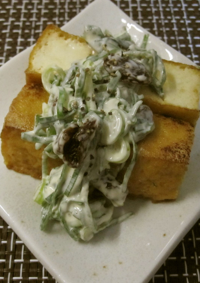 ネギたっぷりのせ厚揚げ-レシピのメイン写真