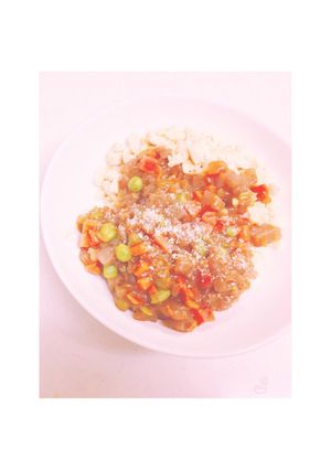 脂質、炭水化物制限！おいしいドライカレー-レシピのメイン写真