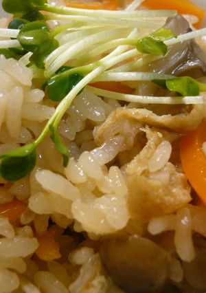 ✿土鍋de美味しいきのこご飯✿-レシピのメイン写真