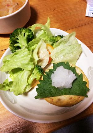 おからハンバーグ-レシピのメイン写真