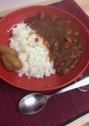【UG】ハヤシを更に高みへ連れて行く。-レシピのメイン写真