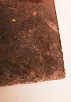 袋一つでノンオイル！おからの板チョコ風-レシピのメイン写真